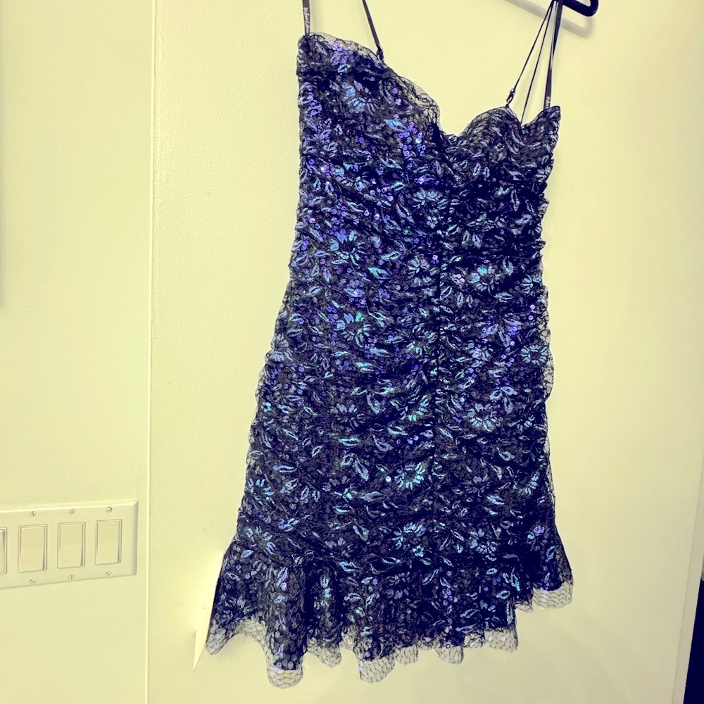 NWT Black and Purple Floral Lace Dress